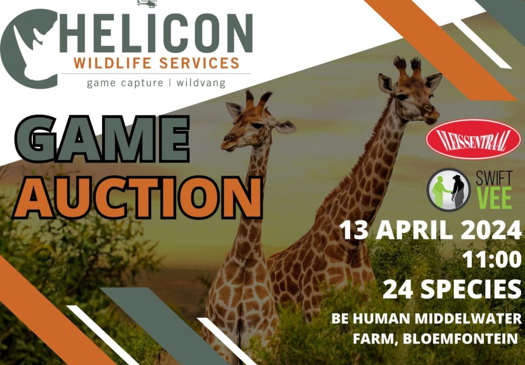 Helicon Auction 13-04-2024